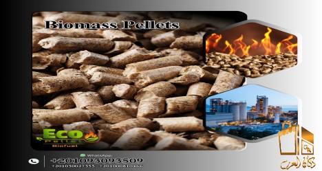 الوود بيليت